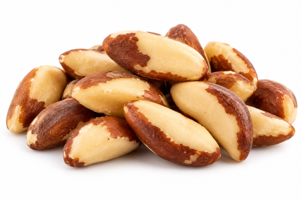 Castaña de Pará (Nuez de Brasil )